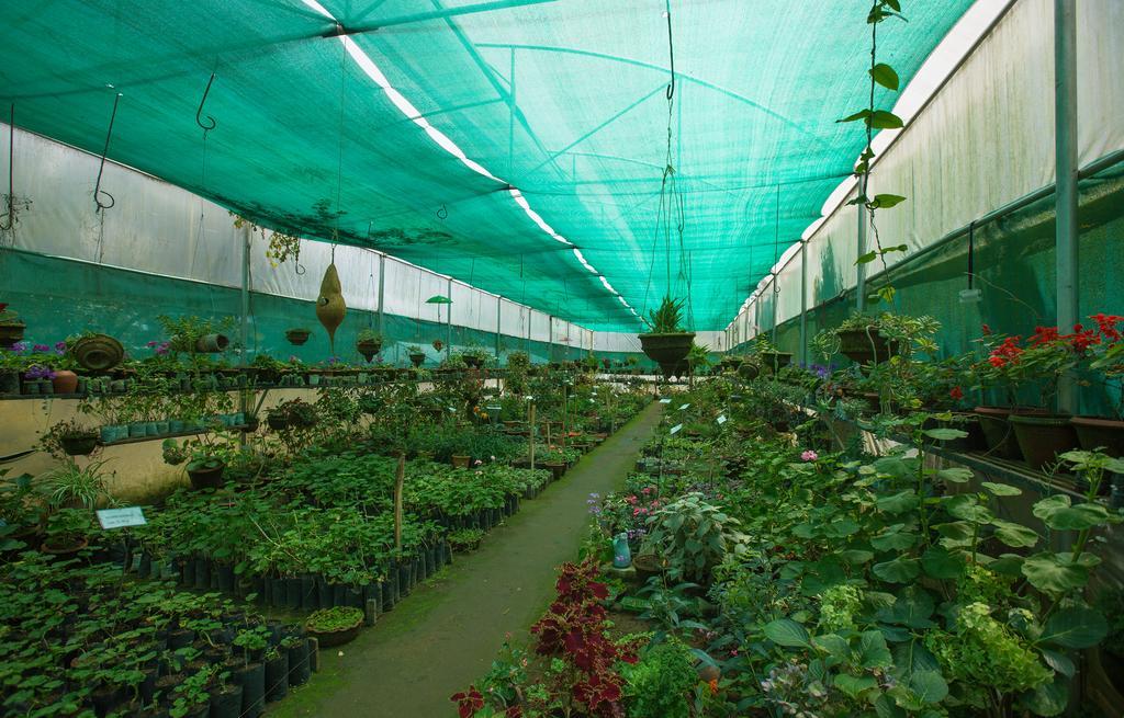 Pine Borough Inn Kodaikanal Buitenkant foto